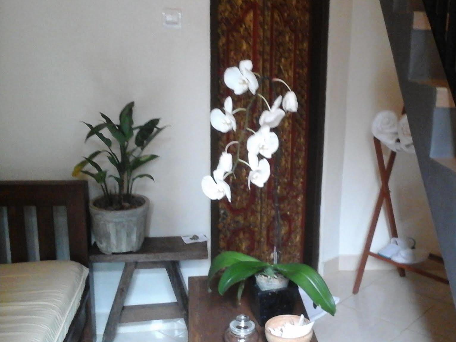 Corner Guest House Ubud  Bagian luar foto